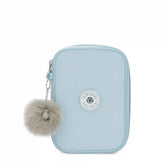 100 Pens Case